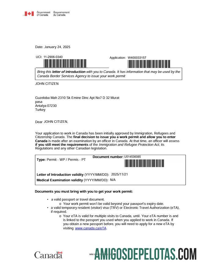 realista Modelo de visto E do Canadá em formatos Word e PDF